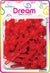 DREAM BRT#16 CHUBBY RIBBON 24P RED