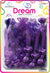 DREAM BRT#70 CREAMY RIBBON 32PC PURP MIX