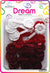 DREAM BRT #77 FLOWER MIX 20P MIX RED