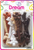 DREAM BRT #81 [JUMBO] MIX 2 12P MIX BROWN