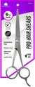 DREAM SCISSOR SHEAR STEEL