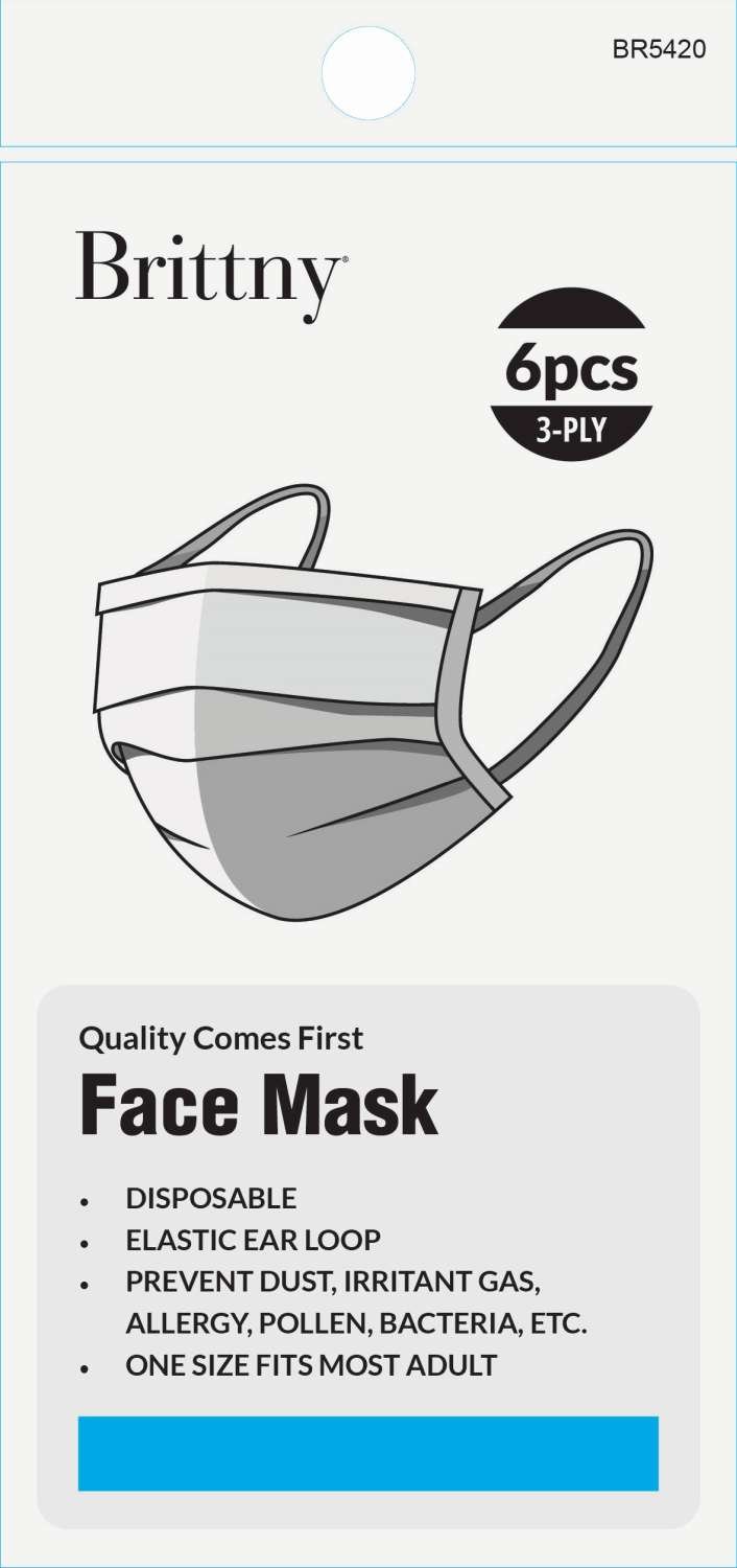 BR MASK FACE DISPOSABLE 6PC/PK WHITE