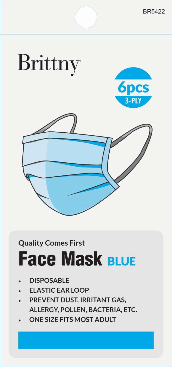 BR MASK FACE DISPOSABLE 6PC/PK BLUE