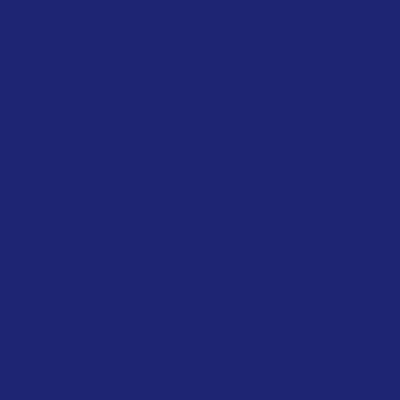 DREAM BANDANA - BULK PLAIN