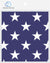 DREAM BANDANA - FOLDED FLAG