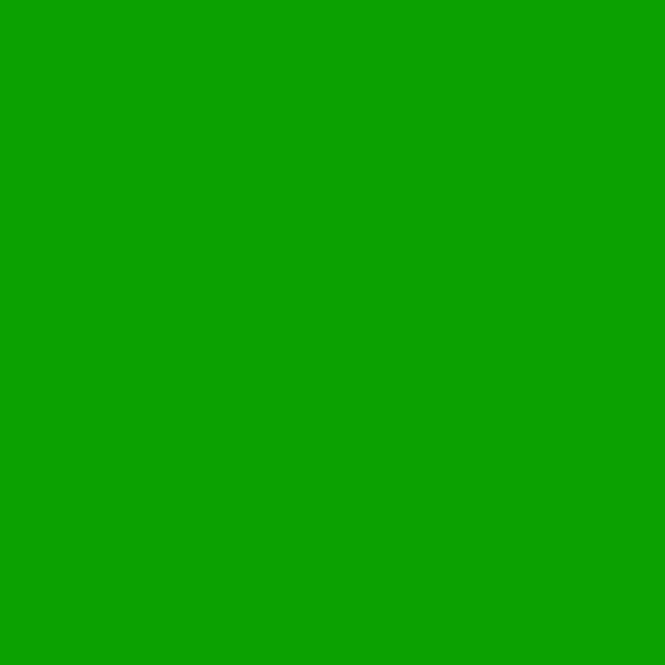 DREAM BANDANA - FOLDED PLAIN GREEN