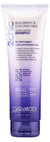 GIOVANNI 2CHIC BLKBERRY/COCONUT SHAMPOO