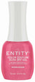 ENTITY GEL- #253 MODELESQUE
