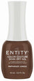 ENTITY GEL- #295 PAPARAZZI JUNGLE
