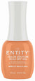ENTITY GEL- #619 APRICOT BEACH BAG