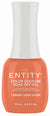 ENTITY GEL- #756 I KNOW I LOOK GOOD