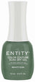 ENTITY GEL- #830 BEAUTY ICON