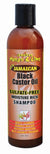 JML B/C SULFATE FREE MOIST RICH SHAMPOO